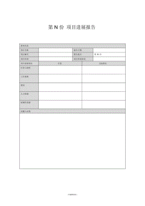 项目进展报告.docx