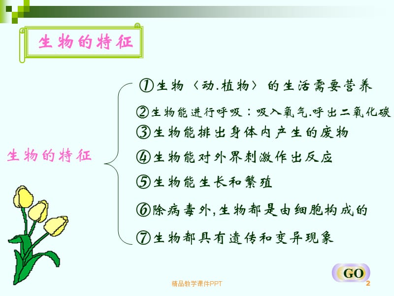 人教版七年级生物上册总复习课件.ppt_第2页