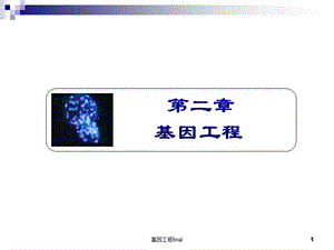 基因工程final课件.ppt