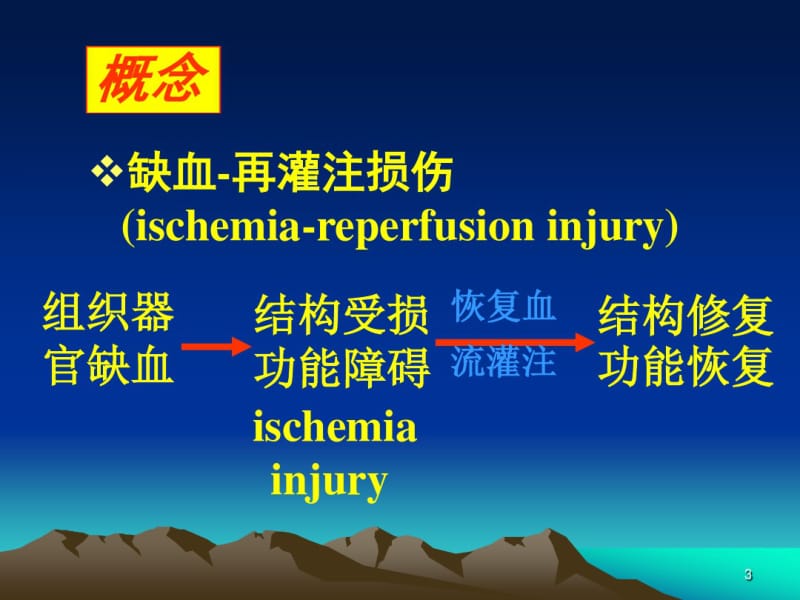 病理生理学缺血再灌注损伤必看ppt..pdf_第3页