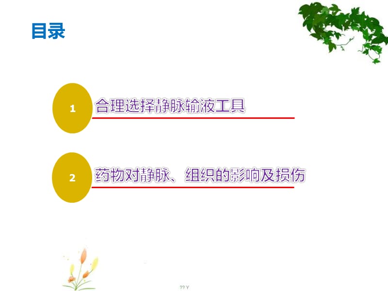 合理选择静脉输液工具讲解.ppt_第2页