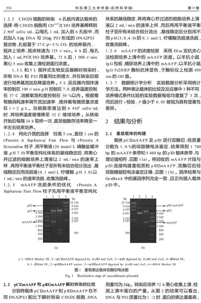 鼠源抗过敏融合蛋白的瞬时表达及纯化.doc_第3页