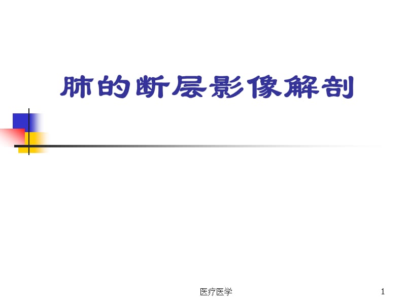 肺的断层影像解剖（业内特制）.ppt_第1页