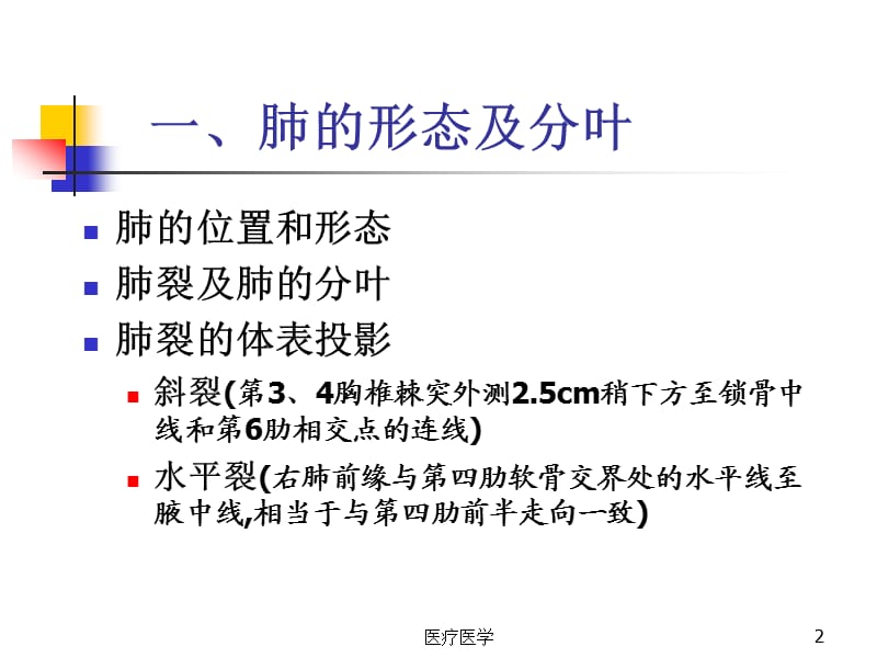 肺的断层影像解剖（业内特制）.ppt_第2页