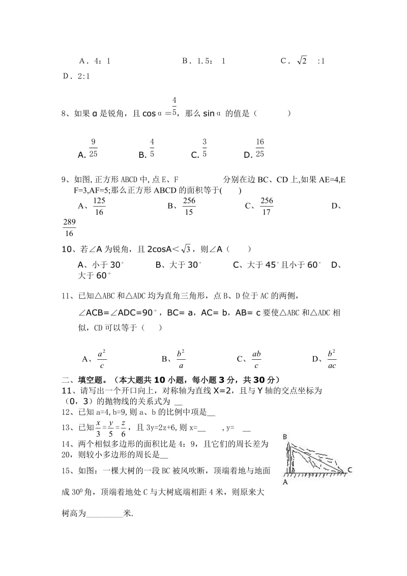 自制九年级上期中试卷.doc_第2页