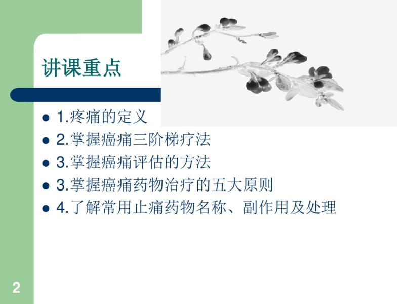 癌痛的药物治疗ppt课件.pdf_第2页