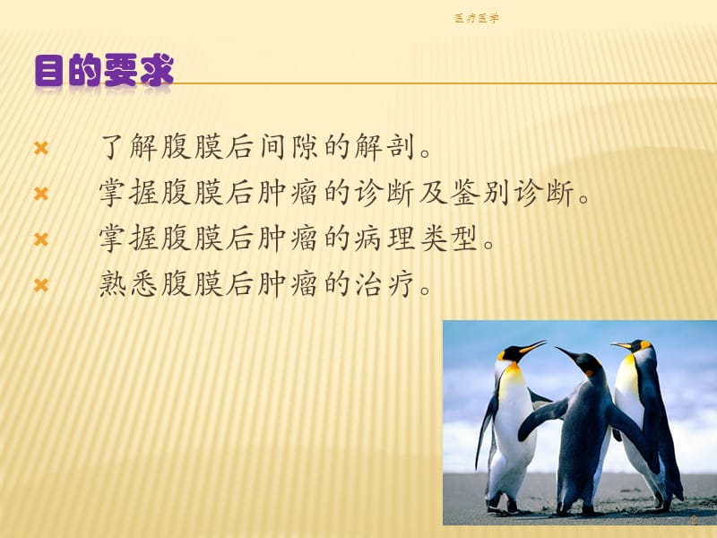 腹膜后肿瘤 课件（业内特制）.ppt_第2页