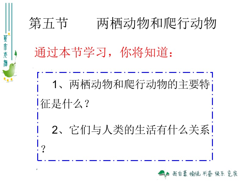 两栖动物和爬行动物2.ppt_第2页