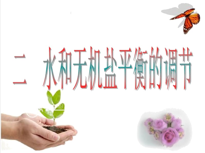 二水和无机盐平衡的调节.docx_第1页