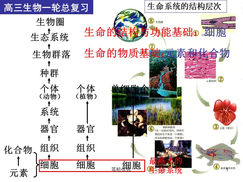 高三生物一轮总复习(细胞与化合物)[基础资料].ppt_第1页