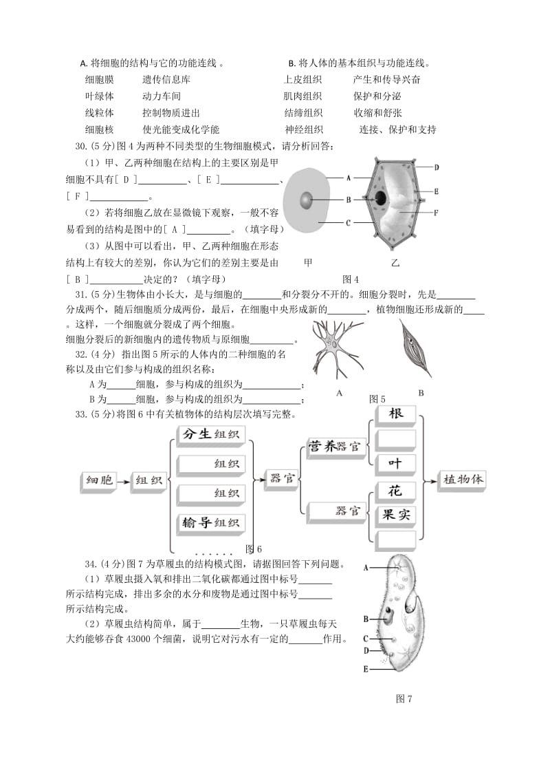 优质人教版七年级生物上册期中考试卷及答案集.doc_第3页