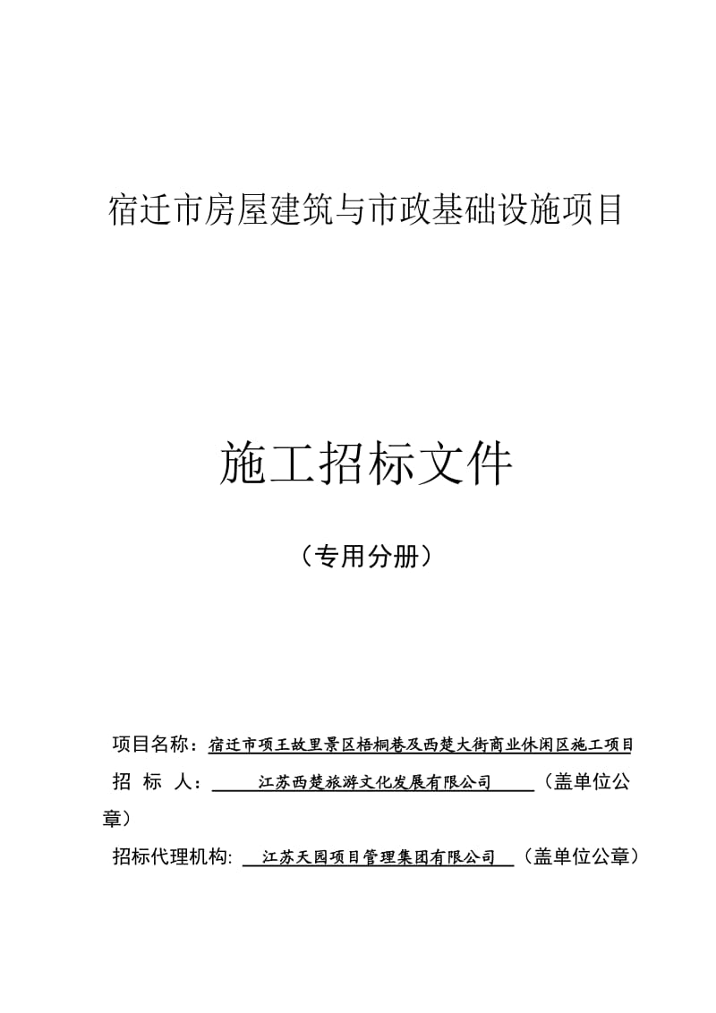 梧桐巷及西楚大街施工专用分册.doc_第1页