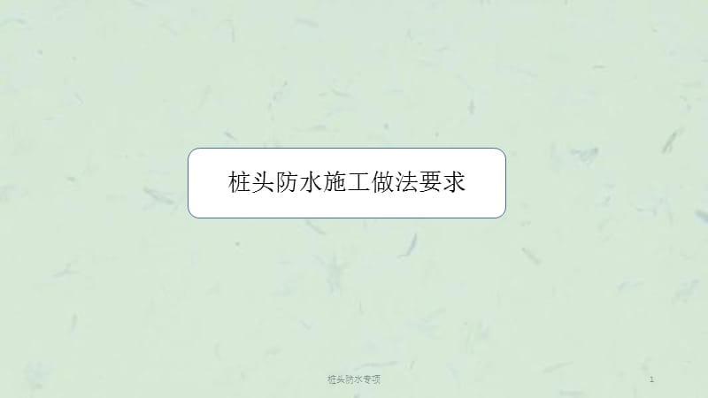 桩头防水专项课件.ppt_第1页