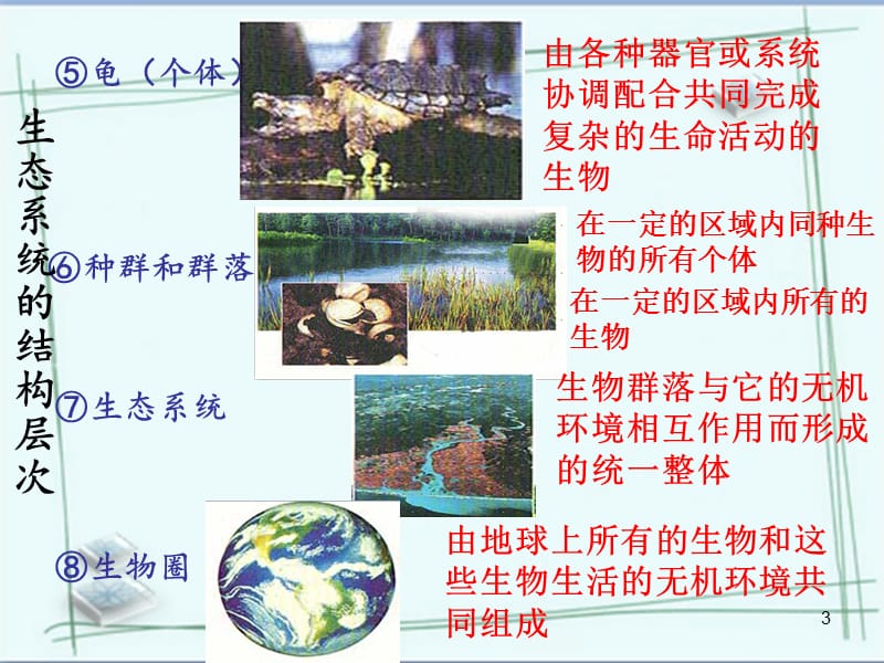 （推荐）生命系统的结构层次.ppt_第3页