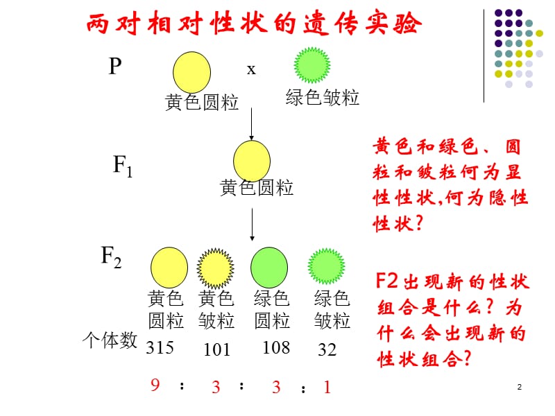 （推荐）高三生物孟德尔遗传规律的再发现课件.ppt.ppt_第2页