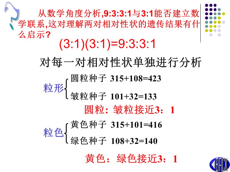 （推荐）高三生物孟德尔遗传规律的再发现课件.ppt.ppt_第3页