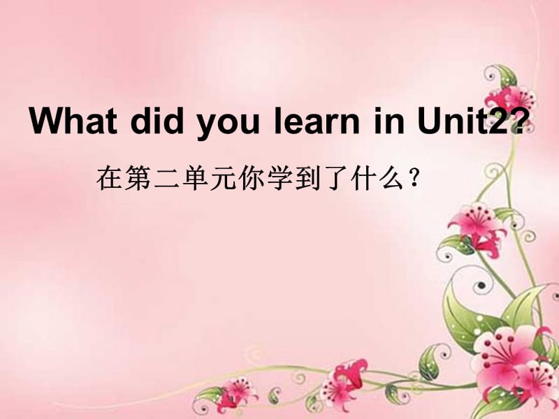 新冀教版六年级英语下册《Unit 2 Good Health to You.Lesson 12 Helen Keller》课件_24.ppt_第2页