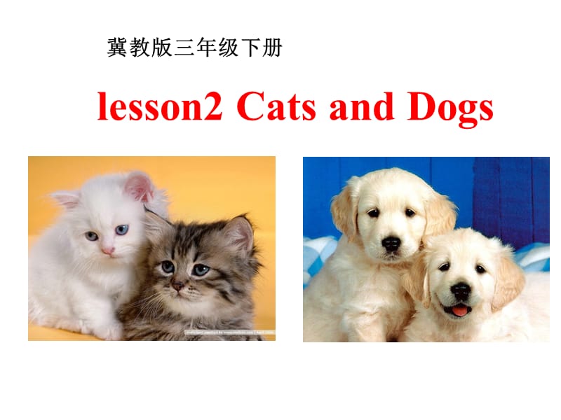新冀教版三年级起点英语下册《unit 1 Animals on the FarmLesson 2 Cats and Dogs》课件_23.ppt_第3页