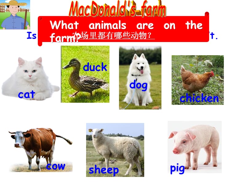 新冀教版三年级起点英语下册《unit 1 Animals on the FarmLesson 2 Cats and Dogs》课件_12.ppt_第2页