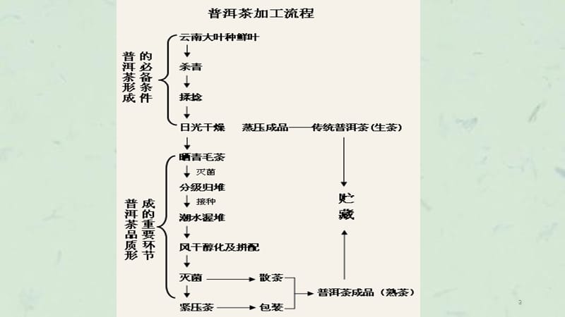 普洱茶培训资料课件.ppt_第3页