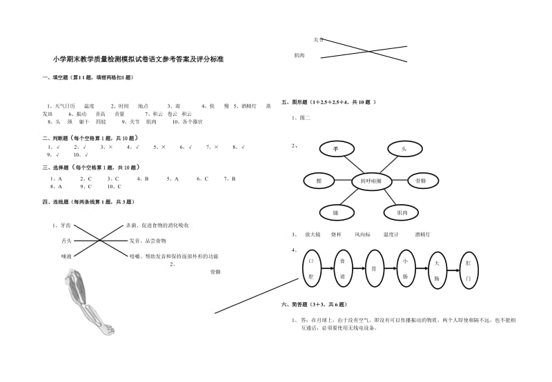 教科版小学科学四年级上册期末试题1.doc_第3页