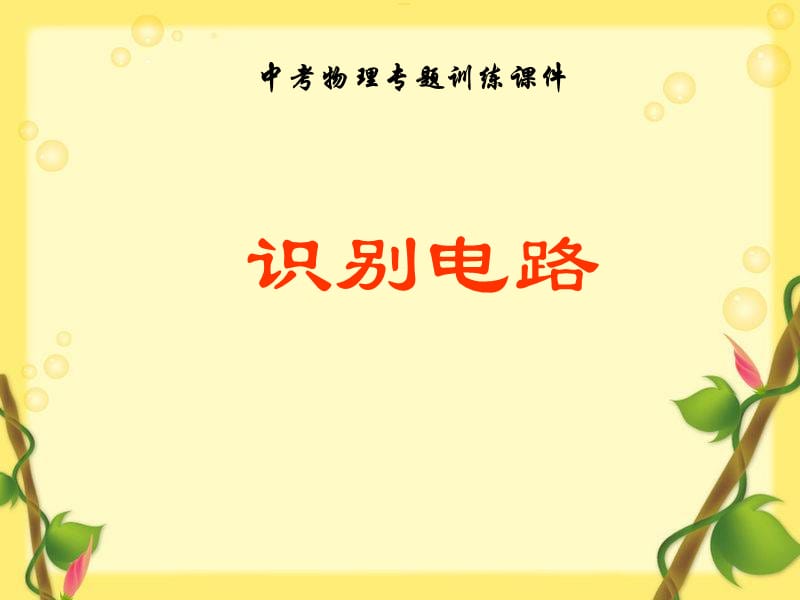 中考物理专题训练《识别电路》课件.ppt_第1页