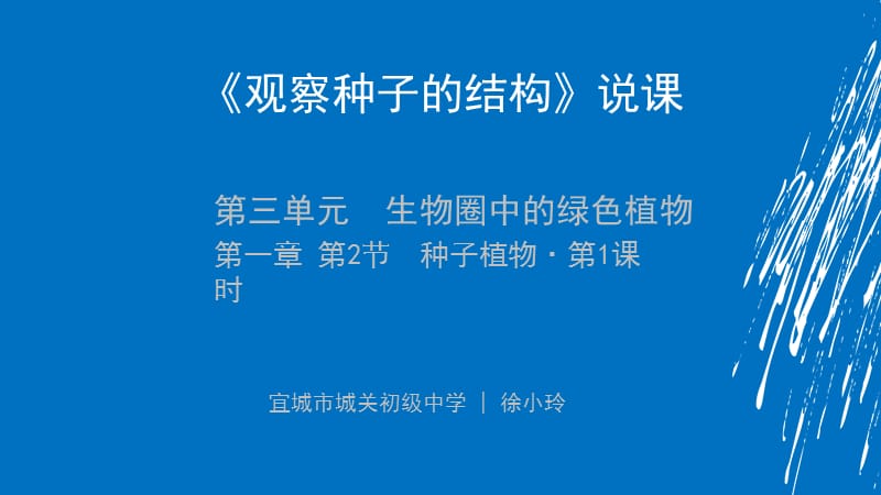 观察种子的结构说课课件.ppt_第1页