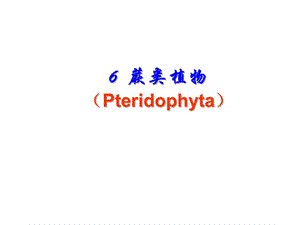 《蕨类植物》PPT课件.ppt