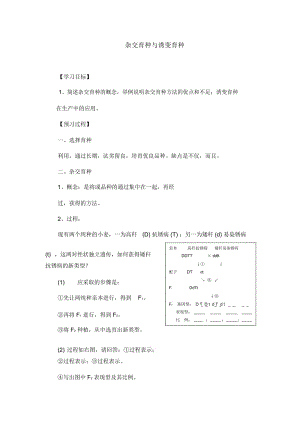 人教版高中生物必修二《杂交育种与诱变育种》学案.docx