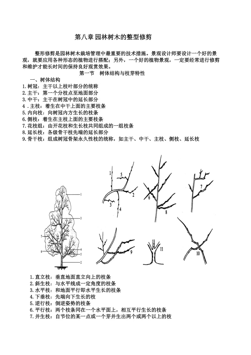 [农学]树木栽培学教案第8章整型修剪.doc_第1页