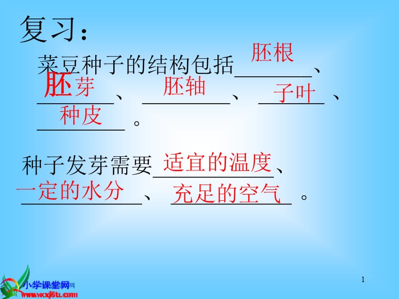 植物的花(全)课件.ppt_第1页