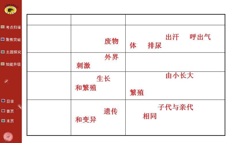 复习分享吕中肖鹏PPT参考课件.ppt_第3页