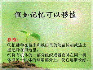 假如记忆可以移植课件.ppt