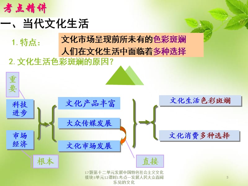 发展中国特色社会主义文化模块3单元12课时1考点一发展人民大众喜闻乐见的文化课件.ppt_第3页