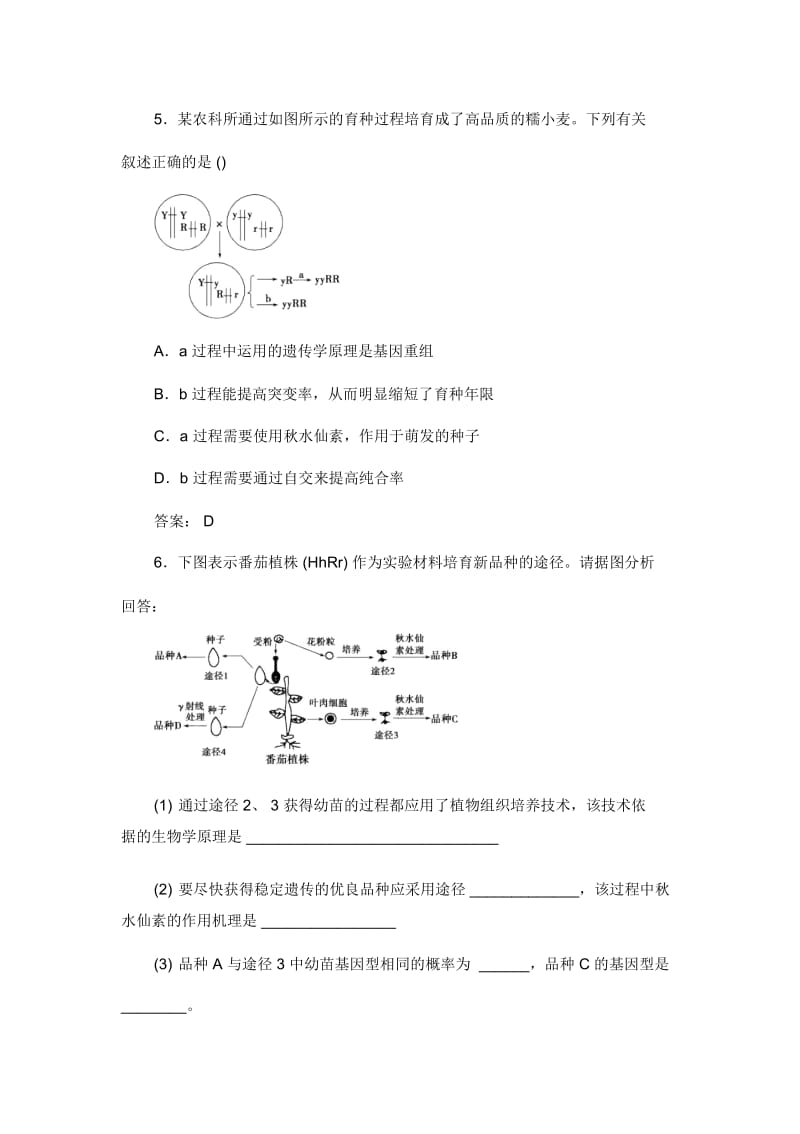 人教版高中生物必修二《杂交育种与诱变育种》练习题.docx_第2页