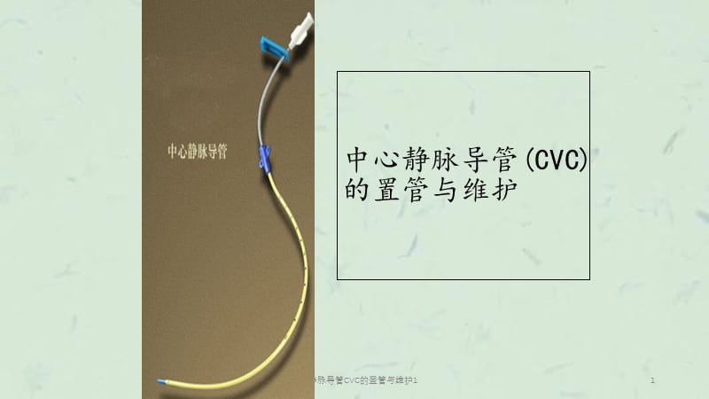 中心静脉导管CVC的置管与维护1课件.ppt_第1页