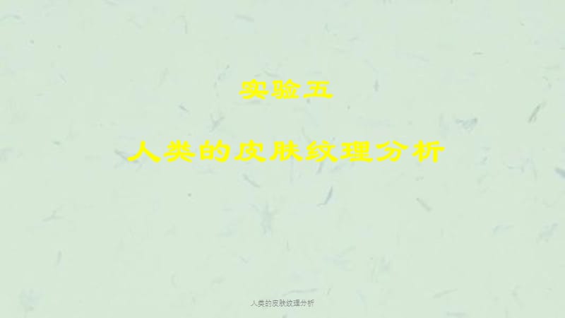 人类的皮肤纹理分析课件.ppt_第1页