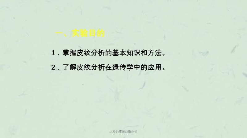 人类的皮肤纹理分析课件.ppt_第2页