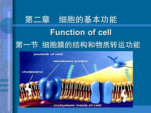 【教学课件】第二章细胞的基本功能.ppt