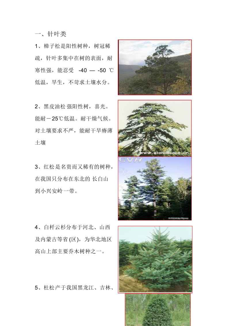 北方常见耐寒植物.doc_第1页