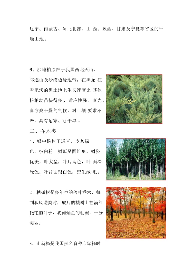 北方常见耐寒植物.doc_第2页