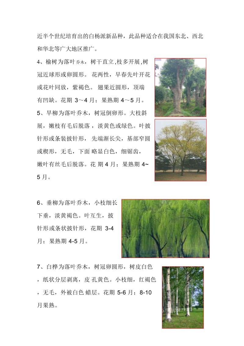 北方常见耐寒植物.doc_第3页