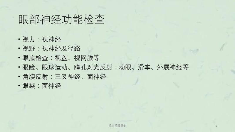 视觉径路解剖课件.ppt_第2页