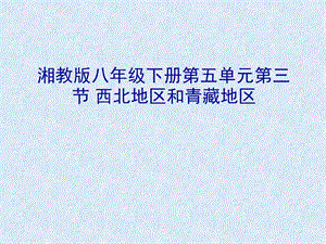 新湘教版八年级地理下册《五章 中国的地域差异第三节 西北地区和青藏地区》课件_3.ppt