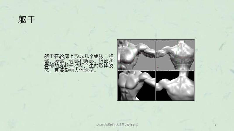 人体动态解剖美术漫画D素描必学课件.ppt_第1页