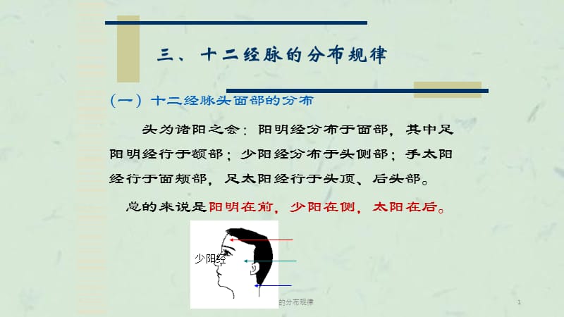 十二经脉的分布规律课件.ppt_第1页