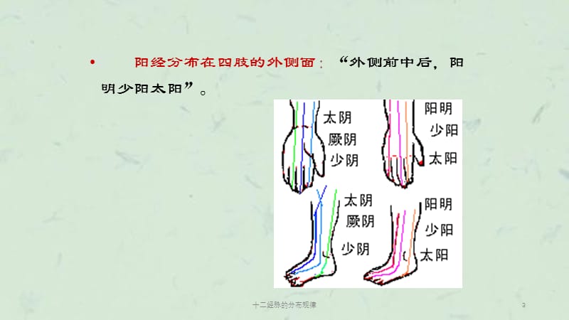 十二经脉的分布规律课件.ppt_第3页