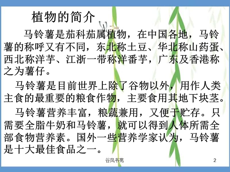 植物的观察日记【谷风参考】.ppt_第2页