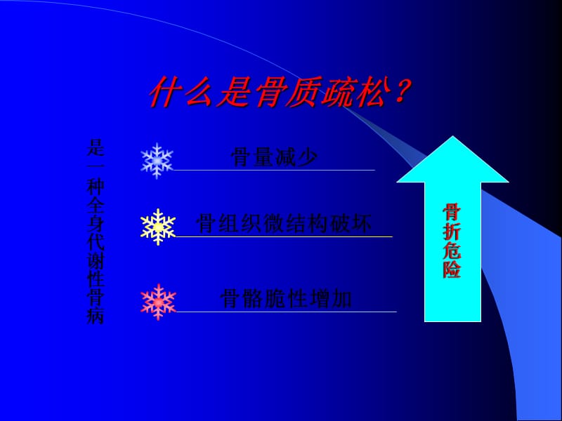 《骨质疏松症》PPT课件.ppt_第2页