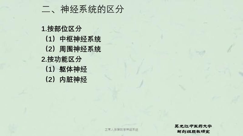 正常人体解剖学神经系统课件.ppt_第3页